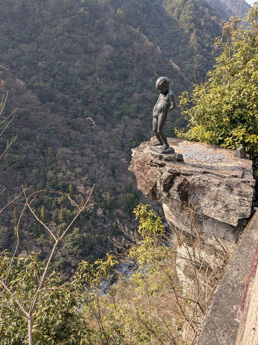 春奇知 tweet media