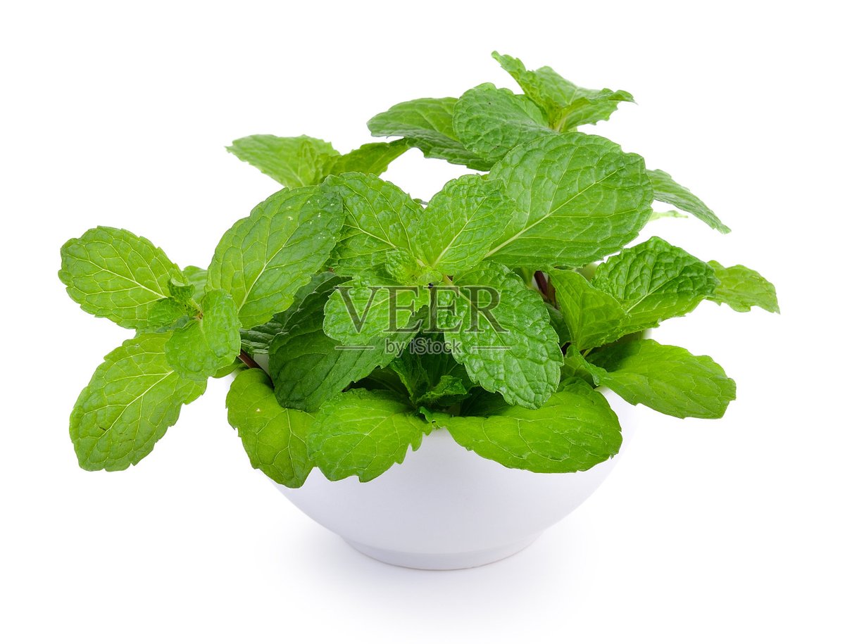 carla bachler tweet media