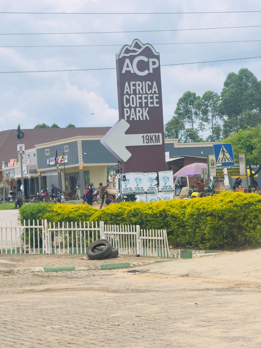 The Mad Man👿 tweet media