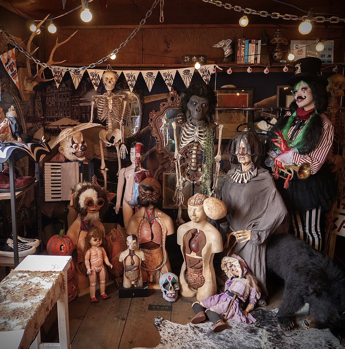 Anatomic Circus tweet media