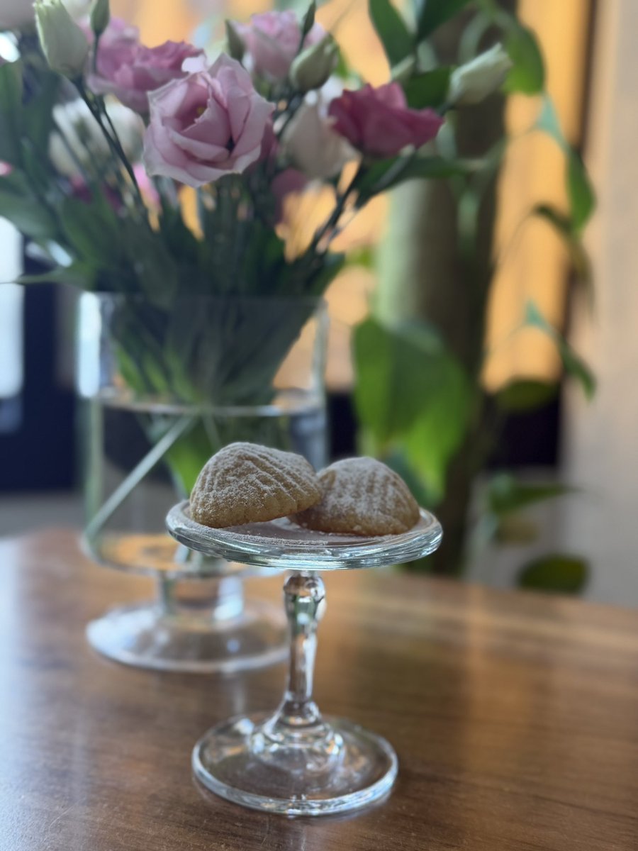 هبـة tweet media