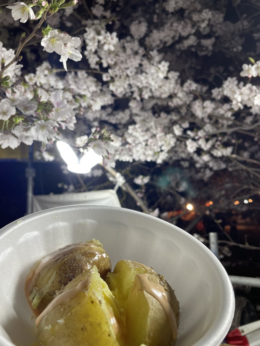 Wangdora tweet media