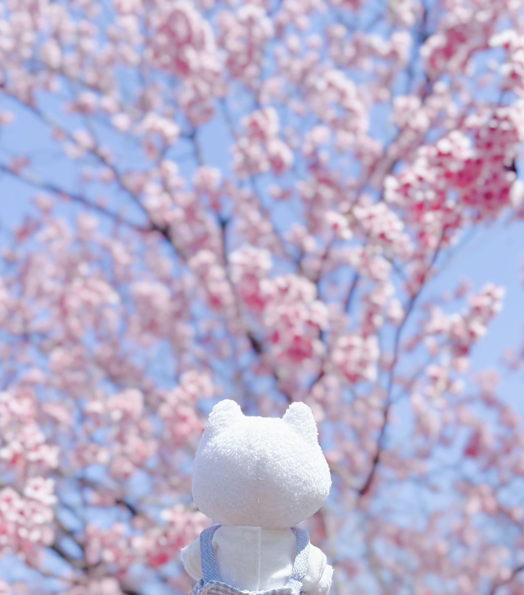 さく (@sak28sak) / Posts / X
