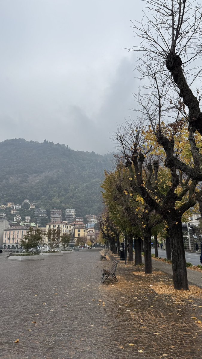 𝘈𝘣𝘥𝘶𝘭𝘳𝘢𝘩𝘮𝘢𝘯 tweet media