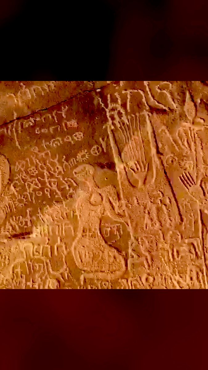 الدكتور كمال أيوب 🇸🇦L222.2 tweet media