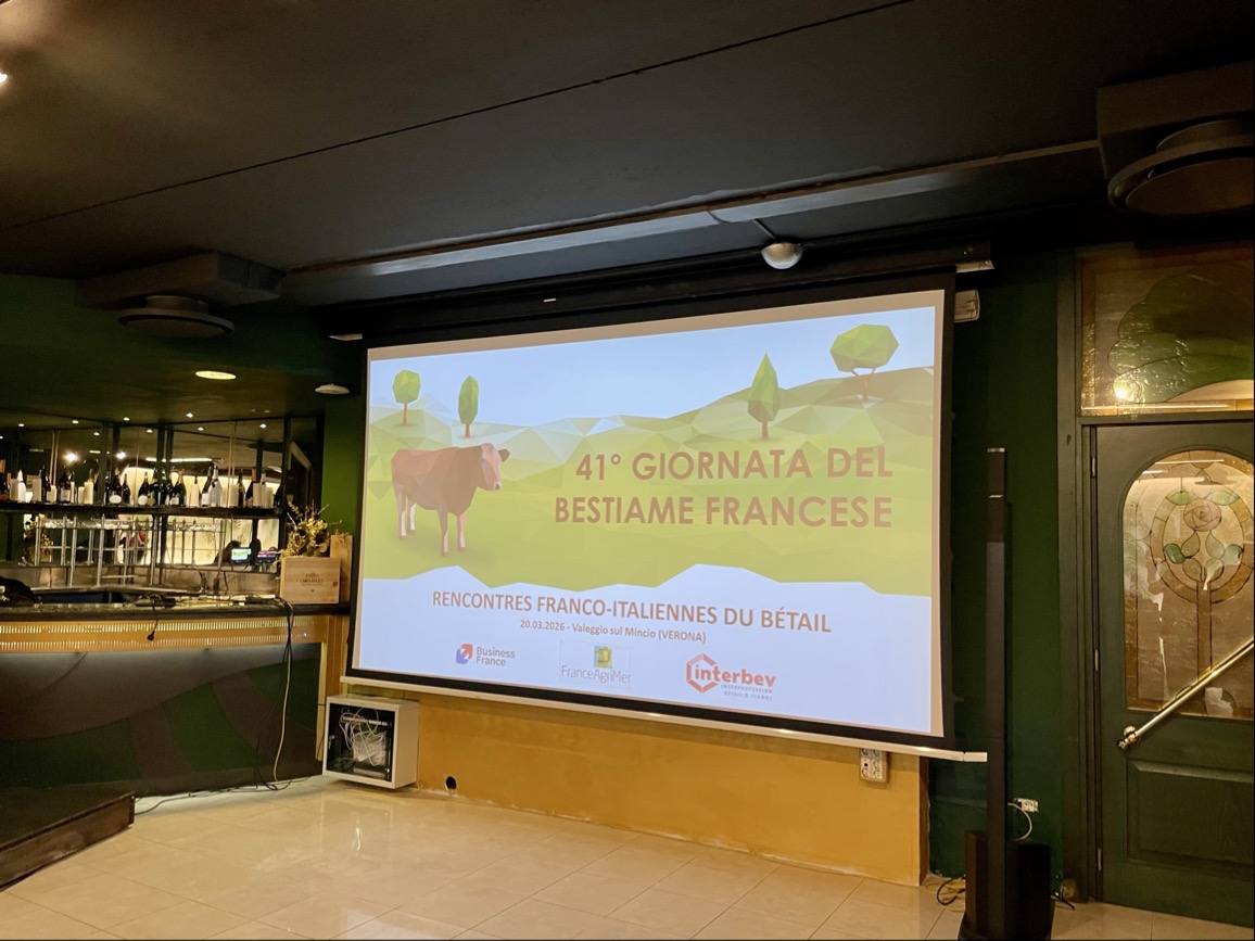 PoleAnimal_Coop's tweet photo. La coopération agricole dépasse les frontières 🇫🇷🤝🇮🇹 ! À Vérone, nous avons renforcé le dialogue sanitaire et commercial autour de la filière 🐮: DNC, MHE, préparation des broutards. 
🎯pour fluidifier les échanges et soutenir une filière performante. 👉https://t.co/iymPIhotZ9 https://t.co/tEnI2sfzmG