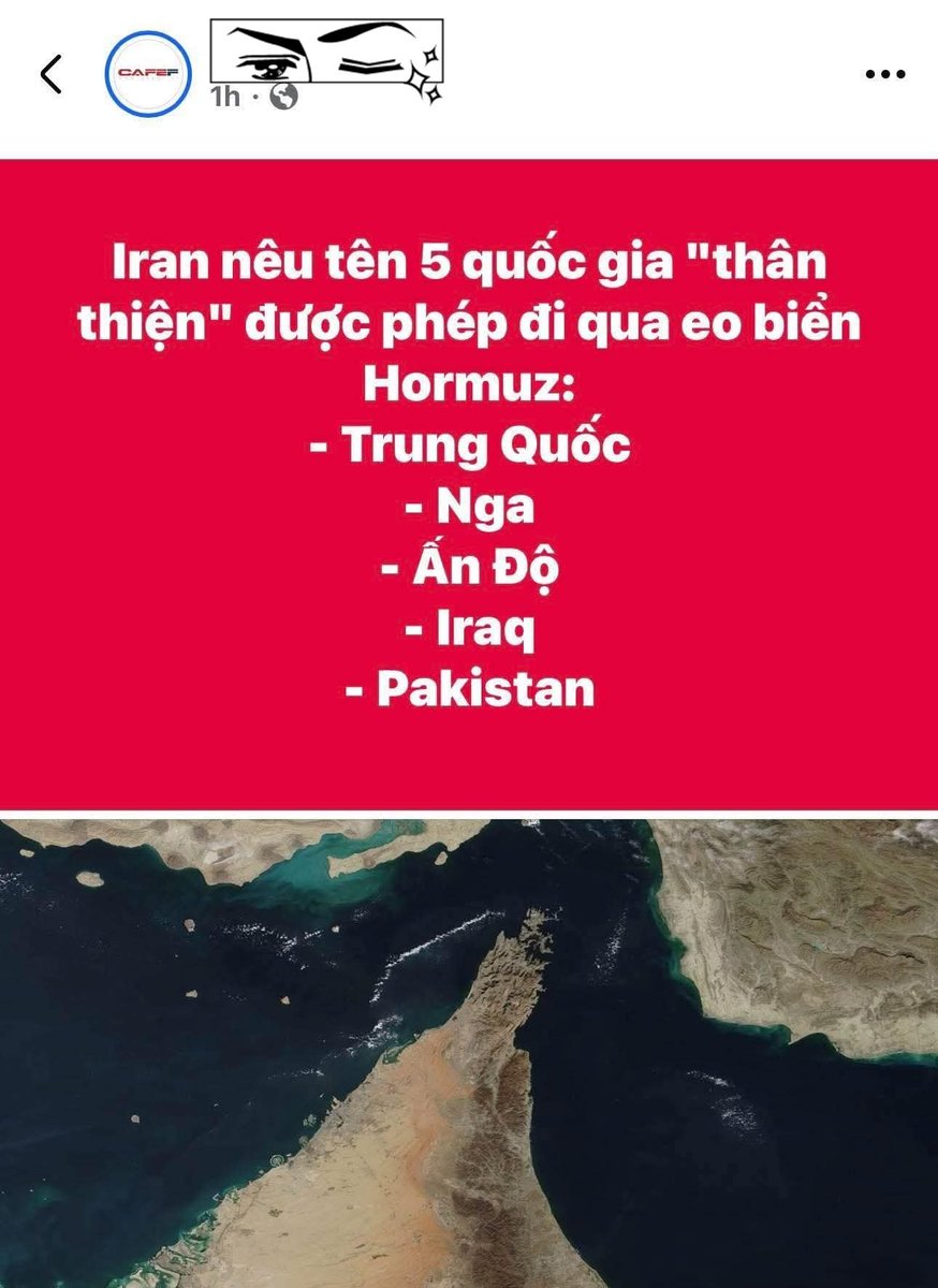 Vũ Việt Vương tweet media