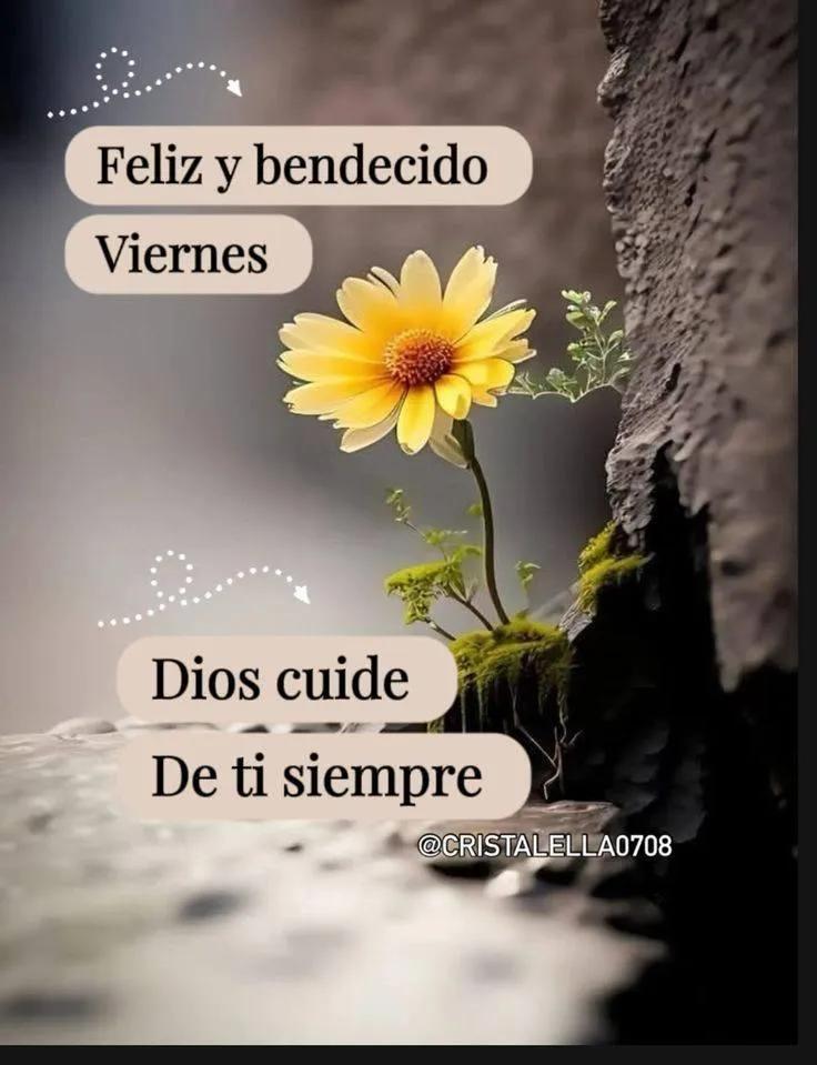 Martha E. tweet media