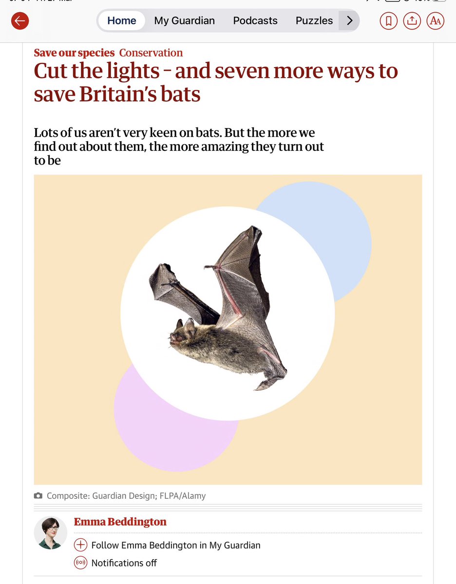 Dr Jill Belch tweet media