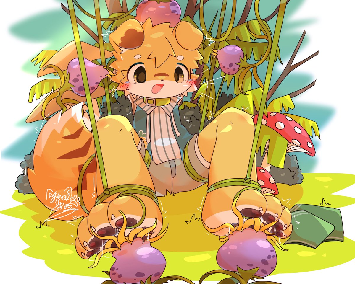 秋田柴西 tweet media