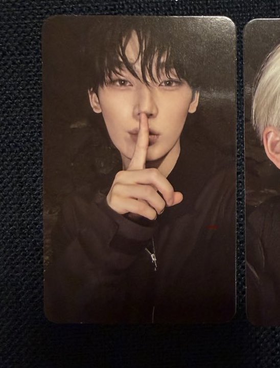 バンビ派🦌 tweet media