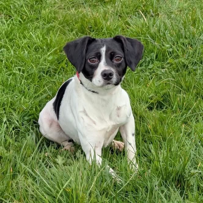 Greenacres Rescue tweet media