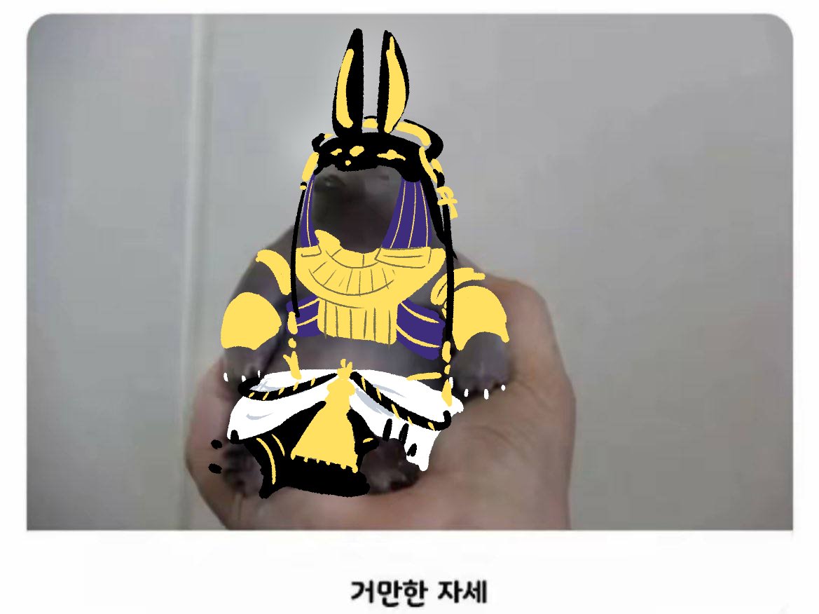 치그야!🍀 tweet media