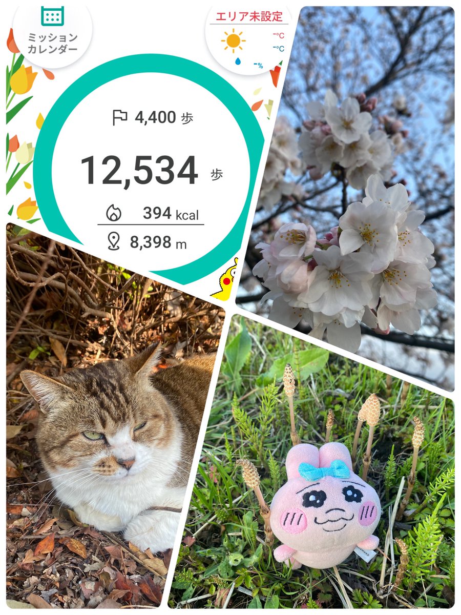 とも - ̗̀ ෆ(｡•⩊•ಣ tweet media