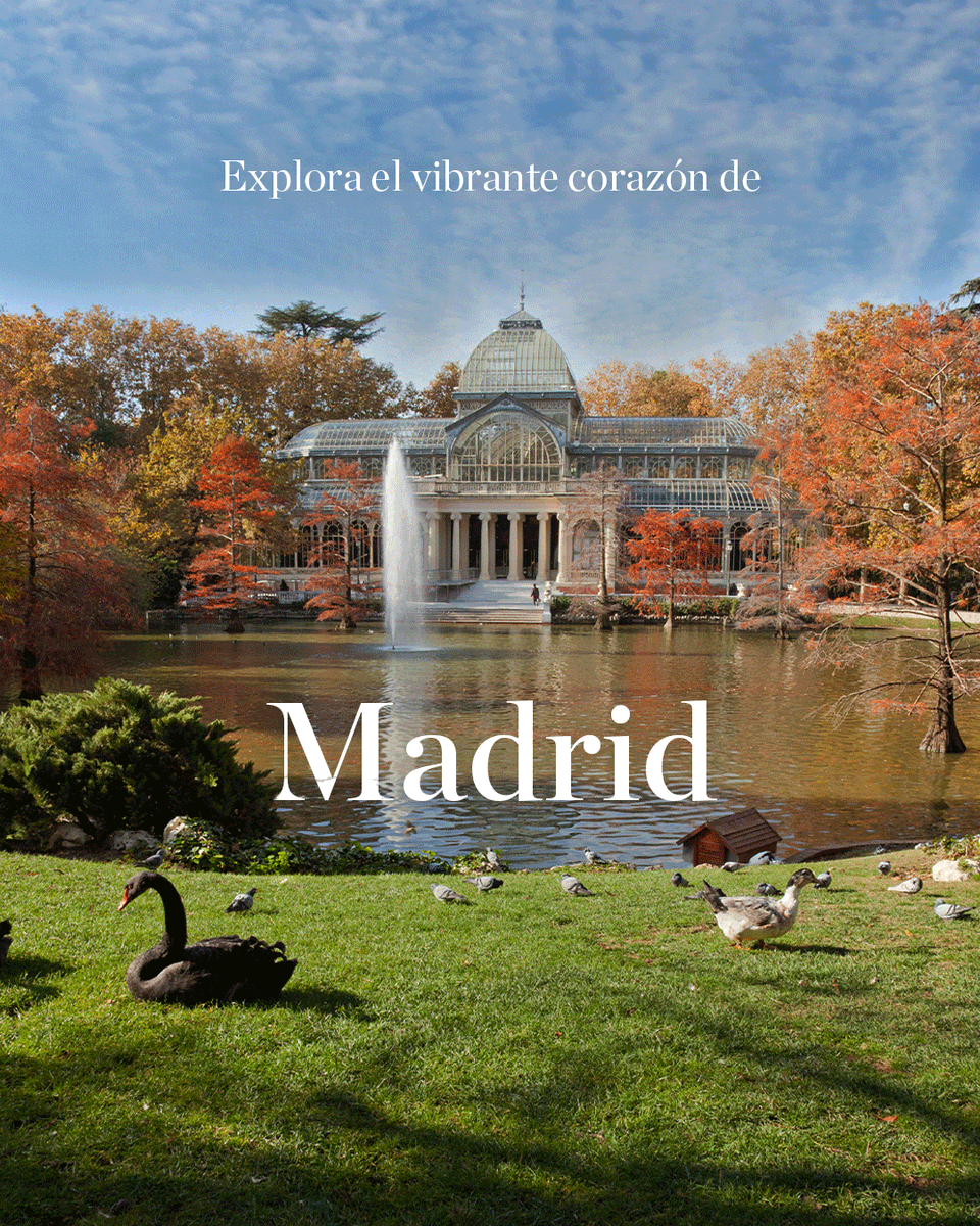 NH Collection España tweet media