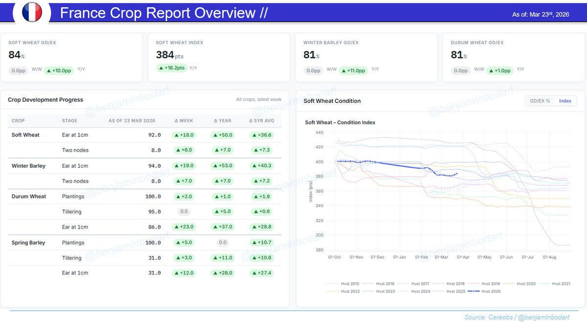 benjamin bodart tweet media
