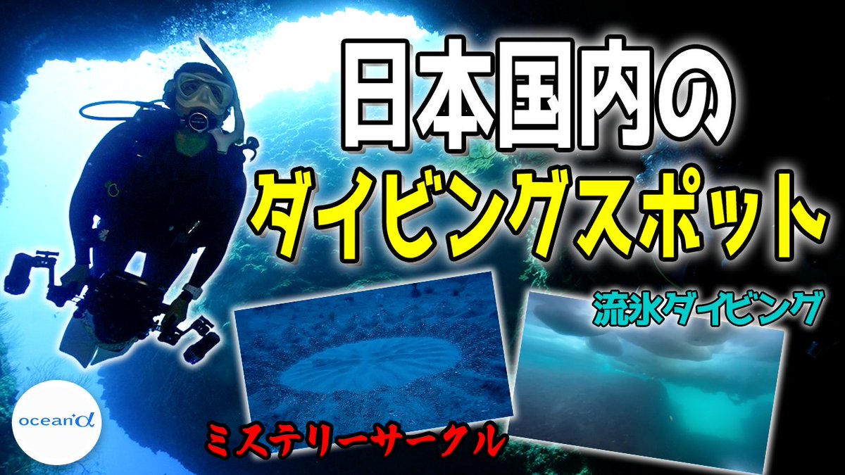 ocean+α (オーシャナ)【公式】 tweet media