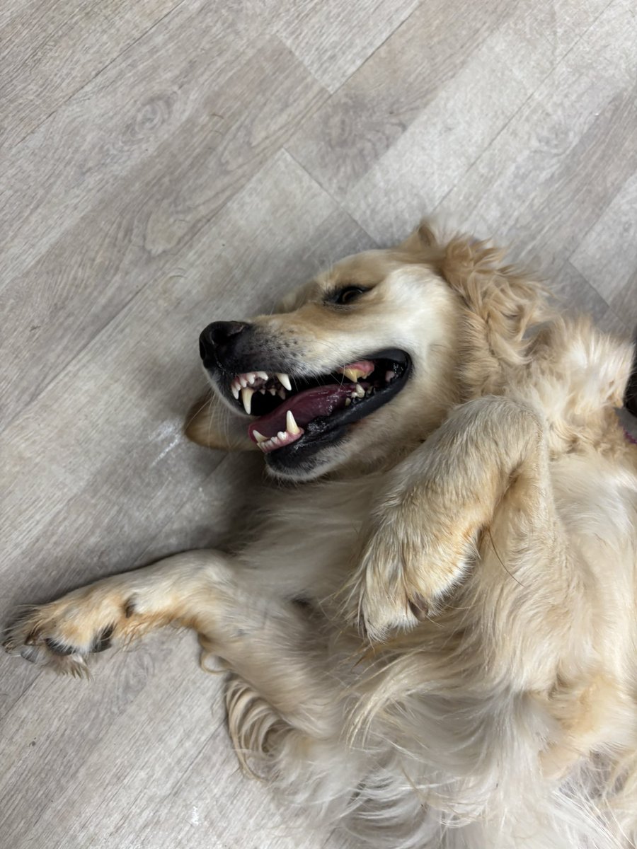 אביתר כהן tweet media