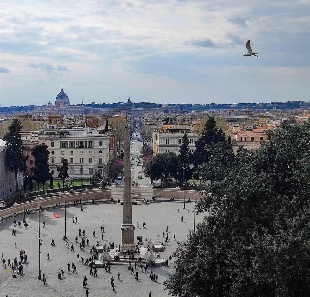 MinervaArmata tweet media