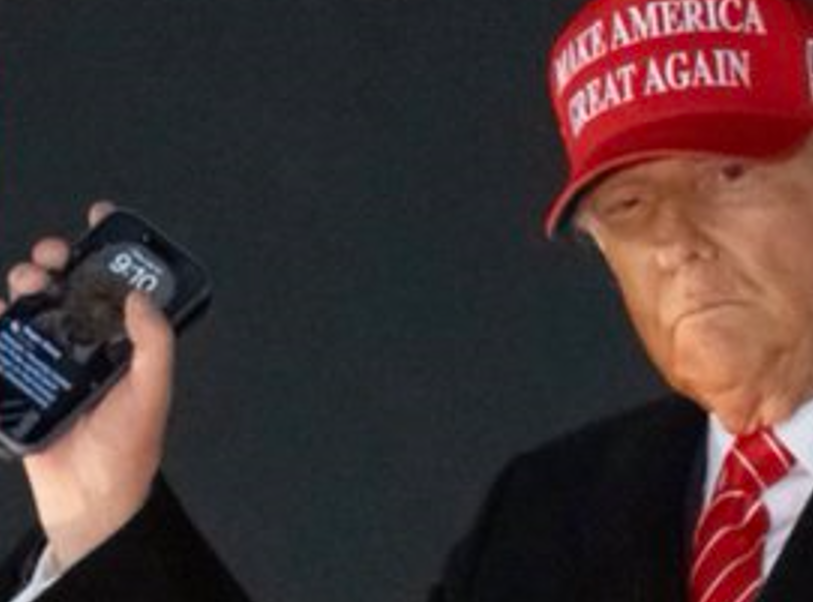 elisamariastella tweet media