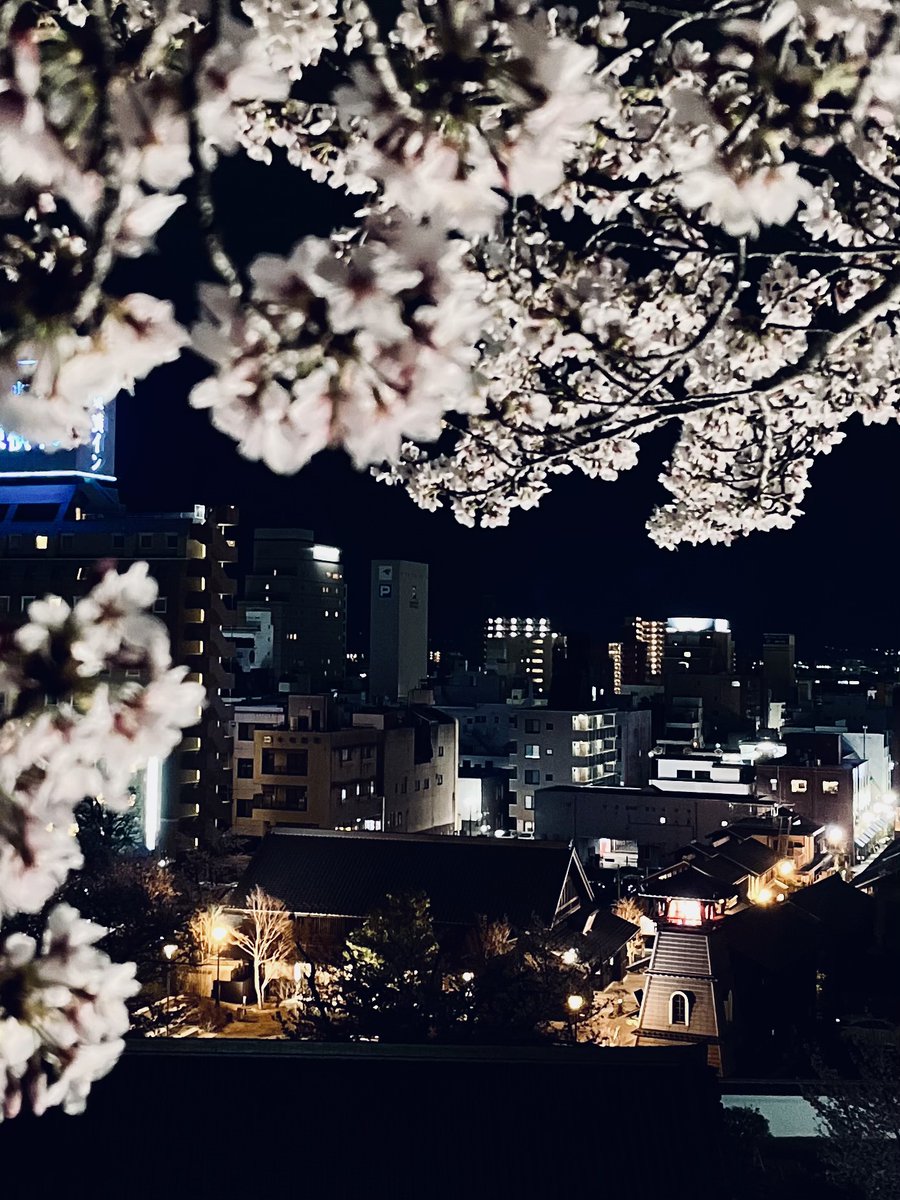 φ✧pHì✧ tweet media