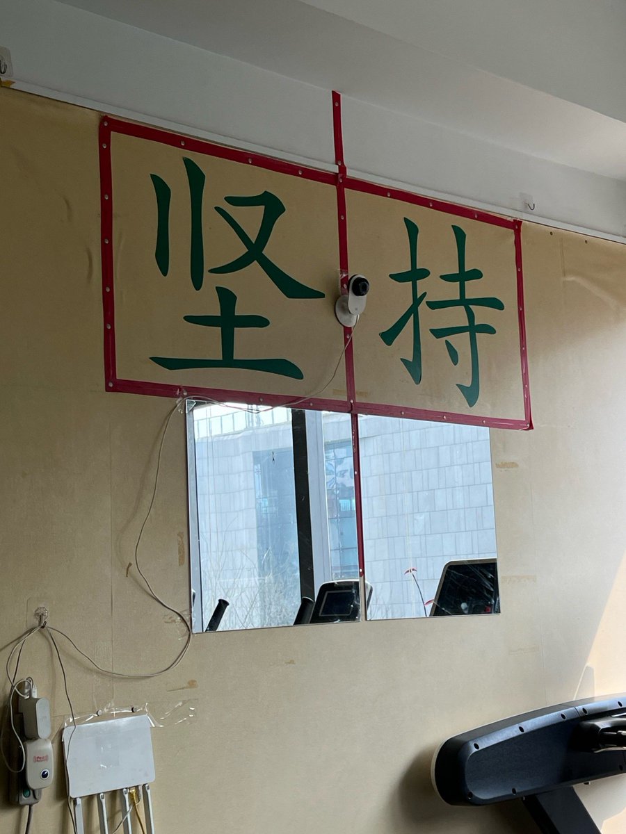 Hayley Morrison tweet media