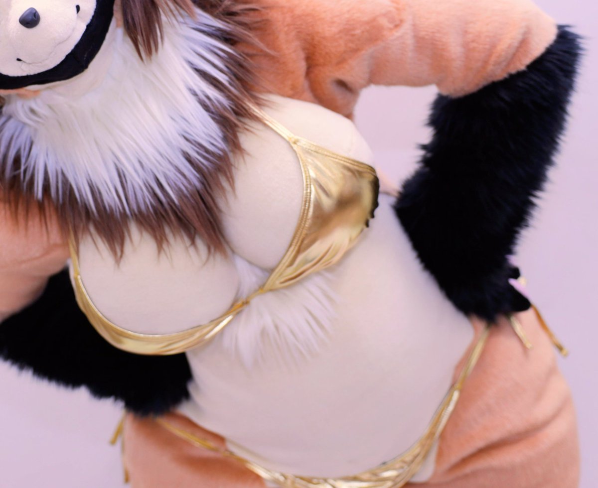 のの砥➡️ミニもふ tweet media