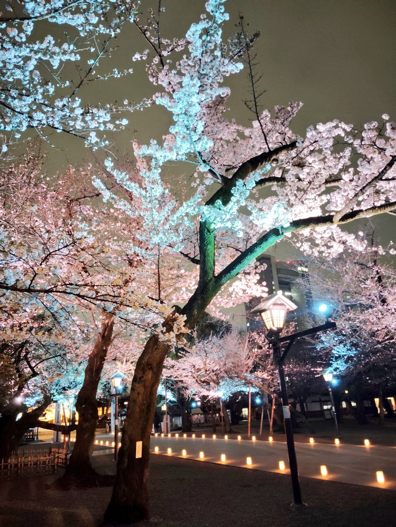 ギチめが🤓5月すパーㇰ tweet media