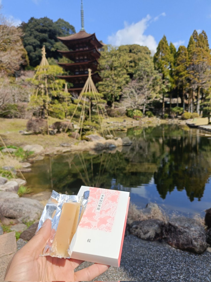 ケロ@4/11⭐️vs🎏(ハマスタ) tweet media