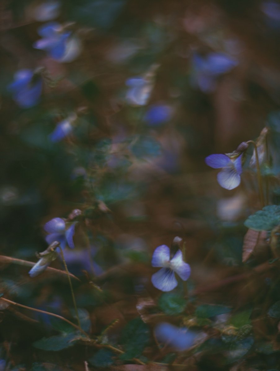 Monica AS tweet media