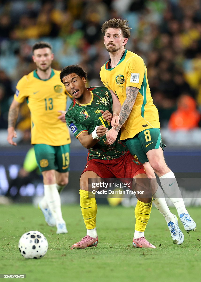 AllezLesLions tweet media