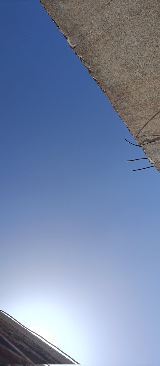 Salem Royce tweet media