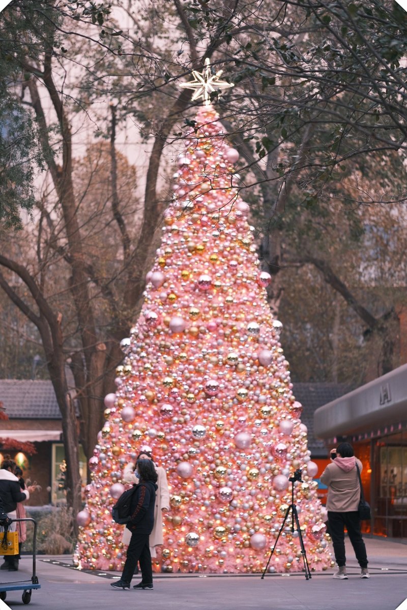 Muhammad  AmjaD tweet media