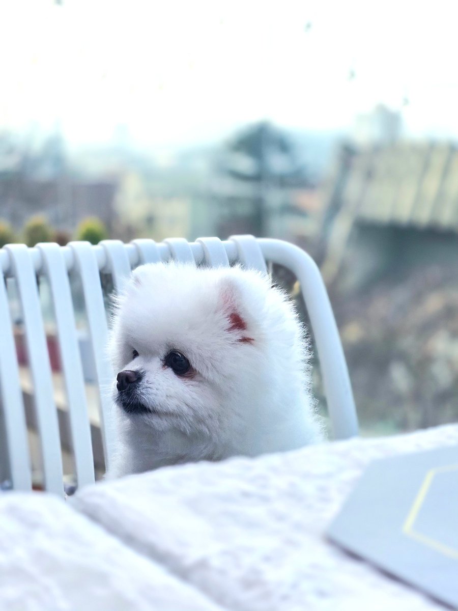 밀크누나 tweet media