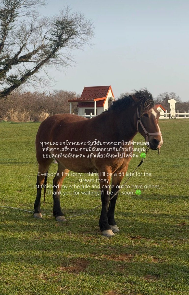 X-TREAM🌼 tweet media