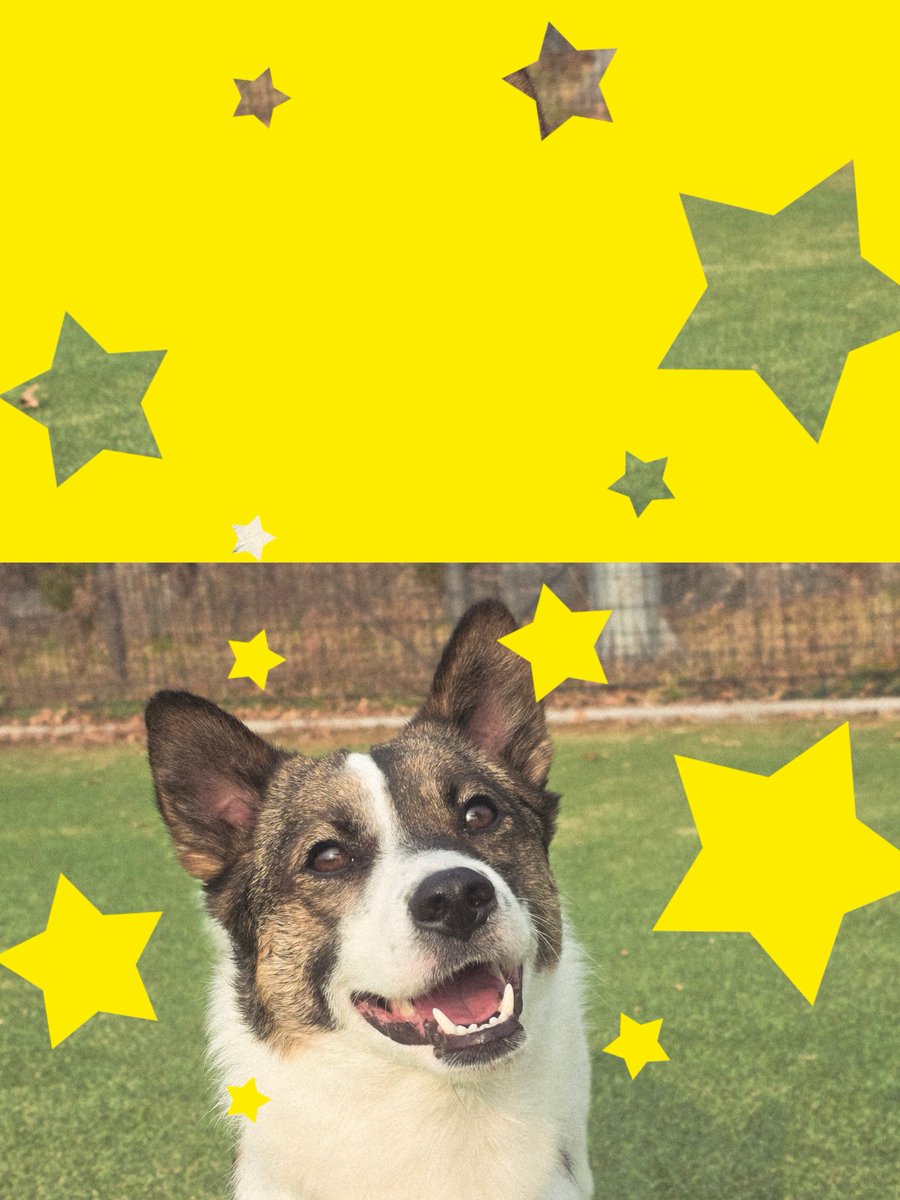 김정 식🍀 tweet media