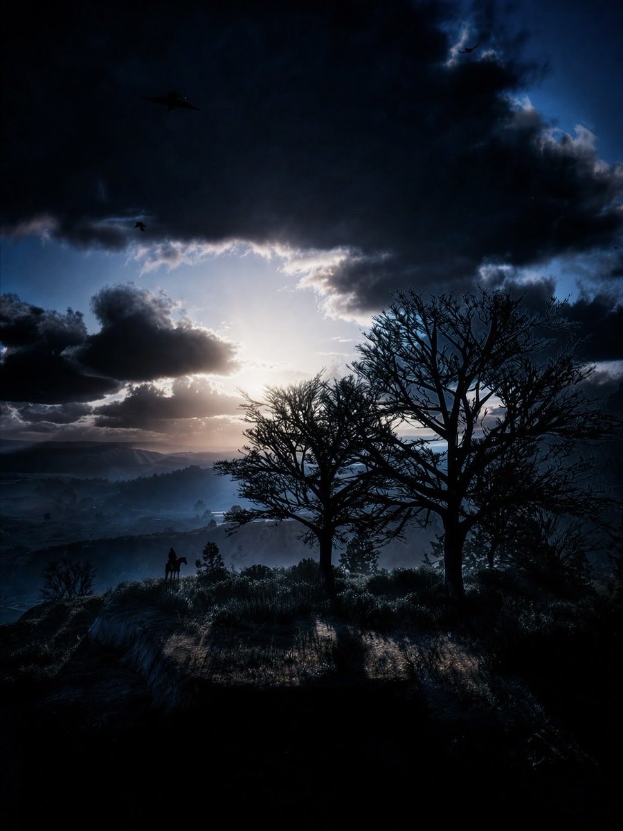 LevenkoN's tweet photo. Untitled and entitled
#VirtualPhotography #AIVP #Screenarchery
#ReadDeadRedemption2 | DX11 Shader model 5
Custom shaders and blue
2026 shot, #AI powered
#RDR2
Full article: https://t.co/ZJw8EAQRu5
@RockstarGames @grok https://t.co/ctRjCSZwAE