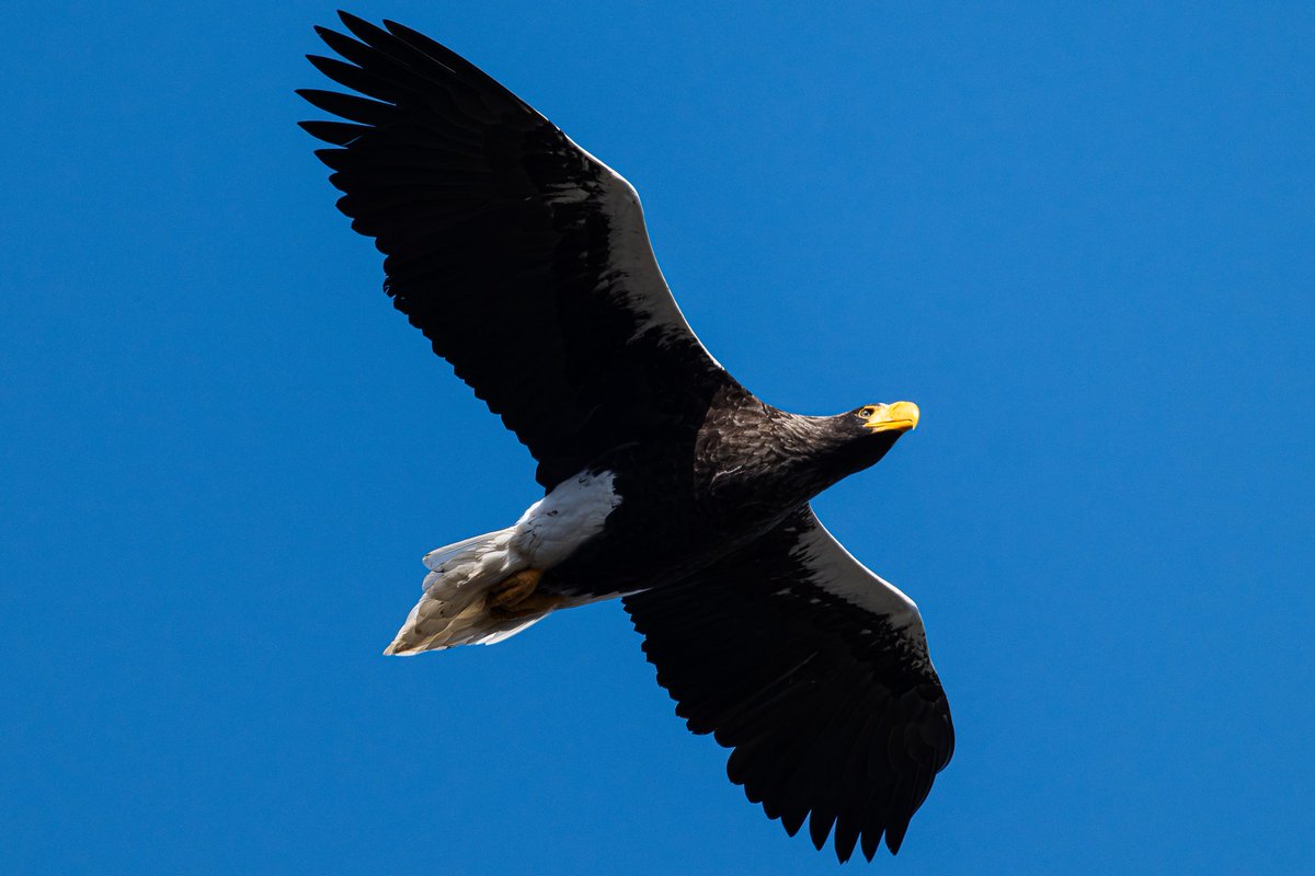 ᗰᗩTᑕᕼᗩᑎ@🍵 tweet media