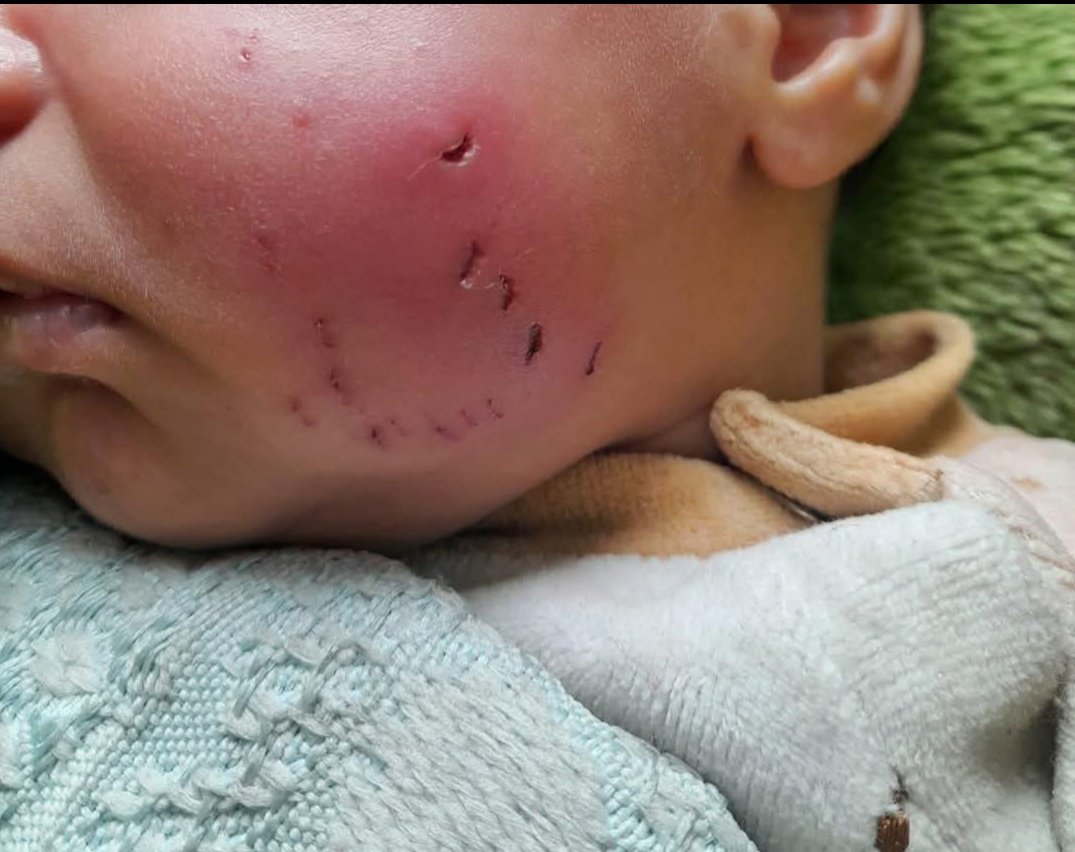 جمعة ابراهيم tweet media