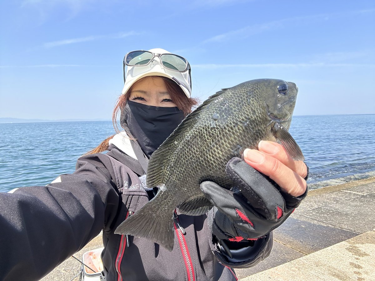 めぐめぐ@YouTuber tweet media