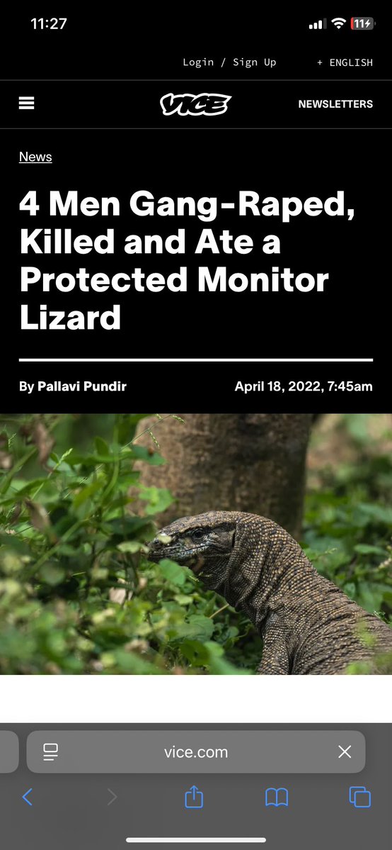 مہوش tweet media