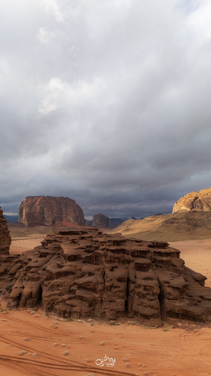 محمد الشريف tweet media