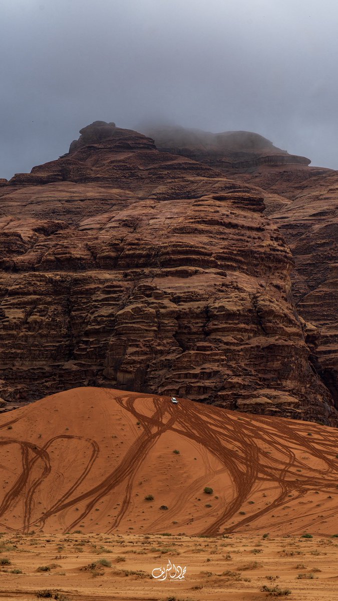 محمد الشريف tweet media