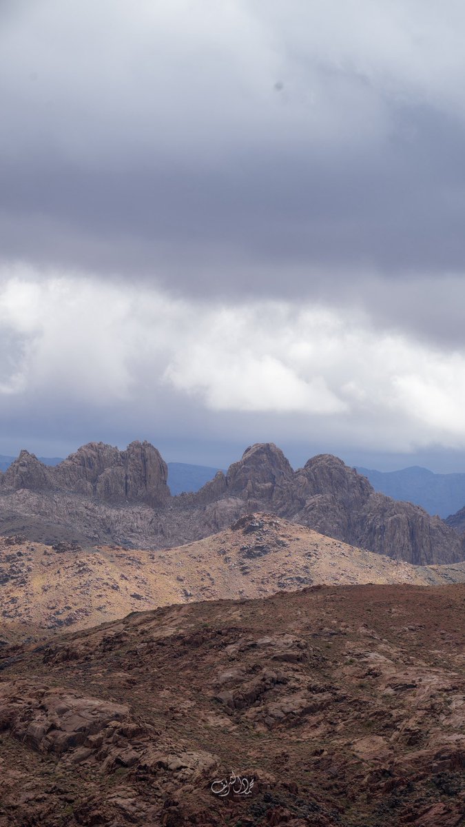 محمد الشريف tweet media