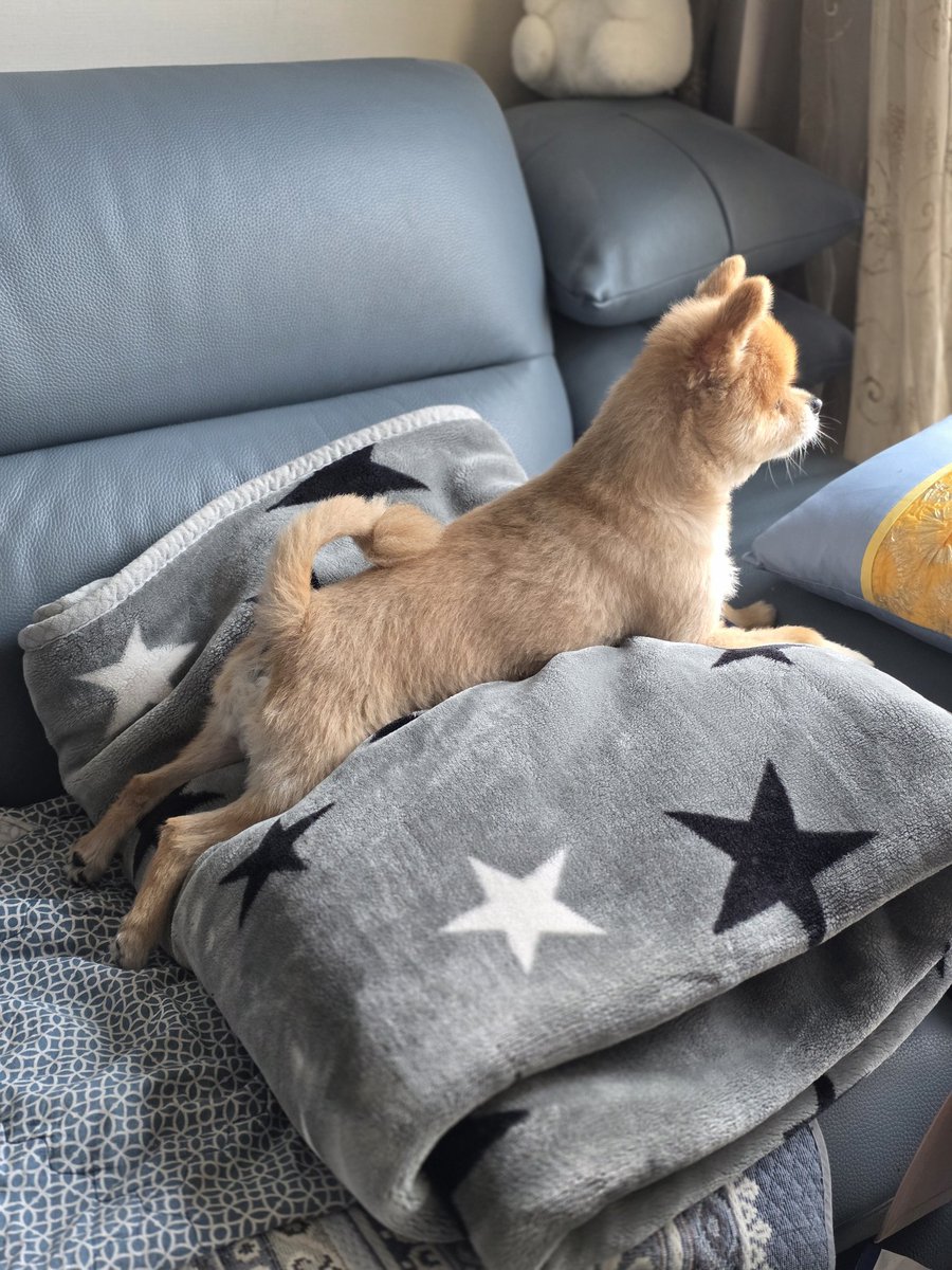 ์ธ๋ ์ ๋ชจ์นด๋ค๐ฆ๐กMochaaaaa on the hill tweet media