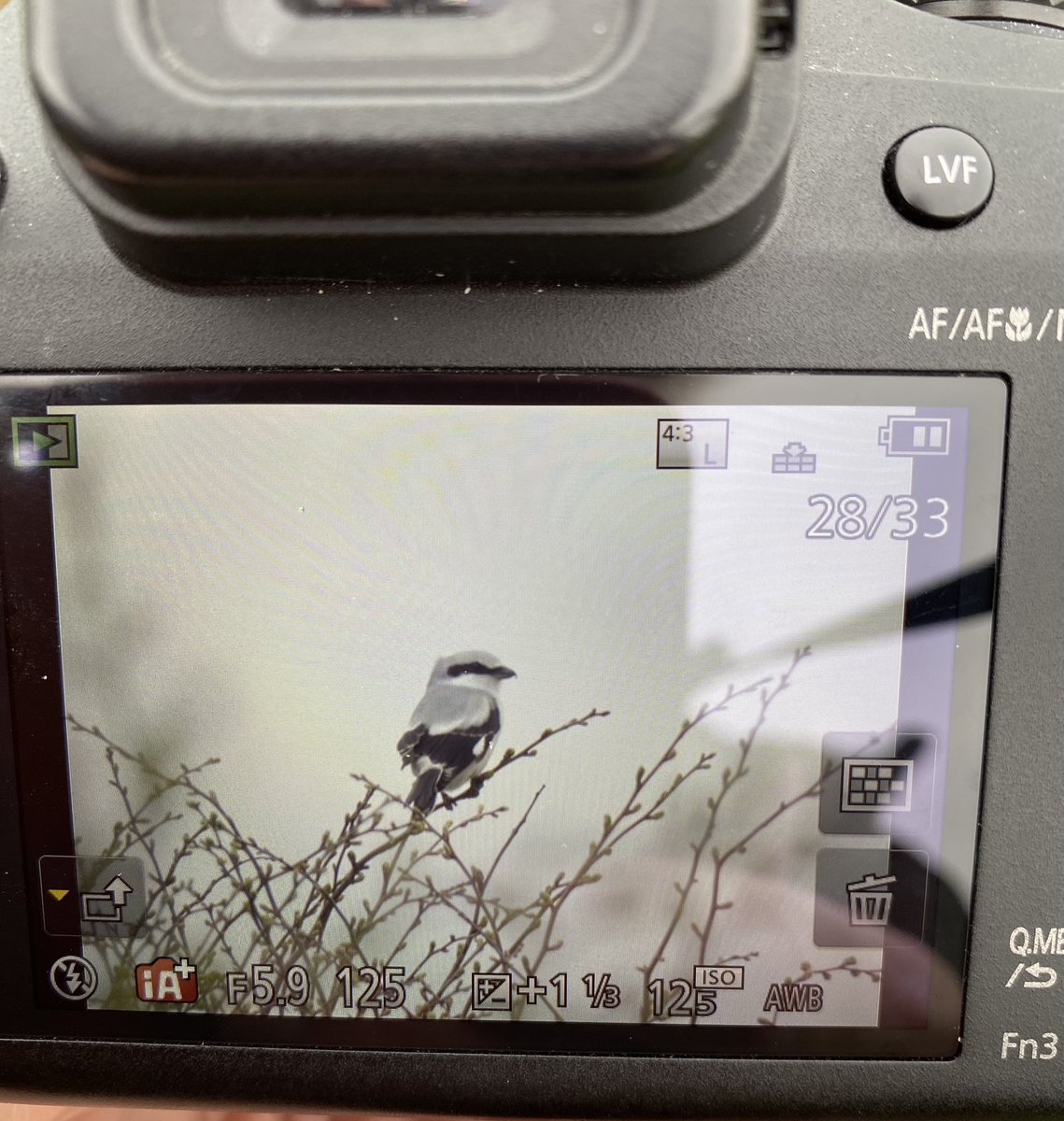 Andy Goodey tweet media