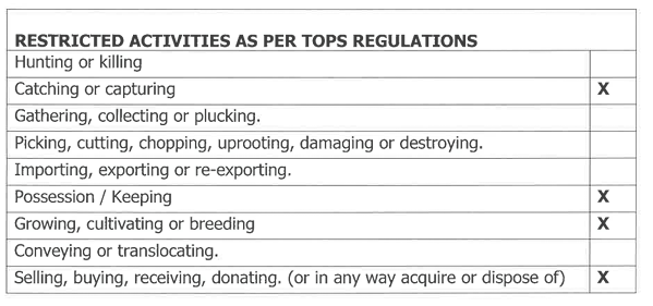 Simon Botes tweet media