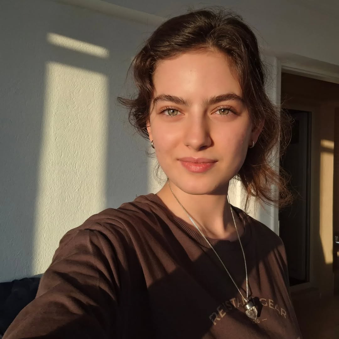 DiziLancer tweet media