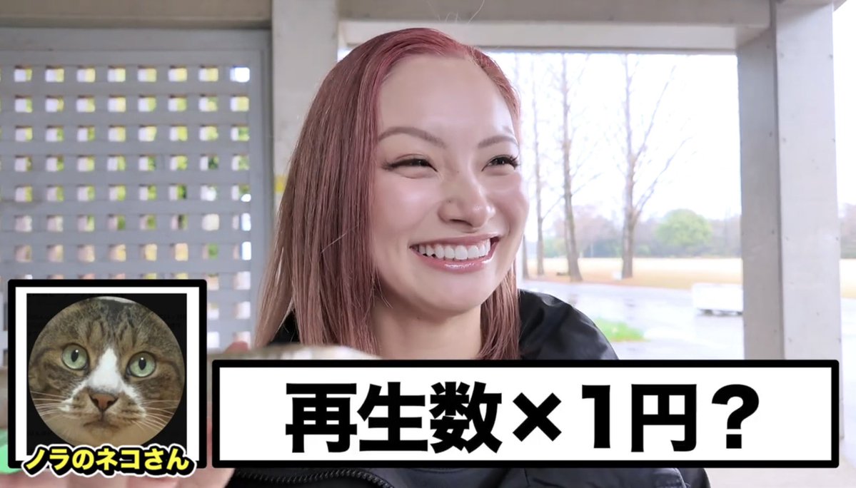 ノラのネコさん 有給終わり…動きます tweet media