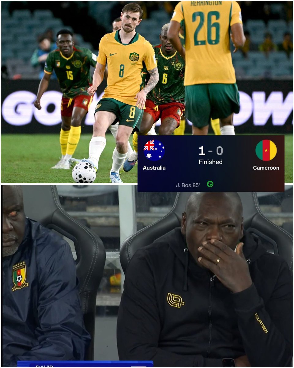 Micky Jnr tweet media